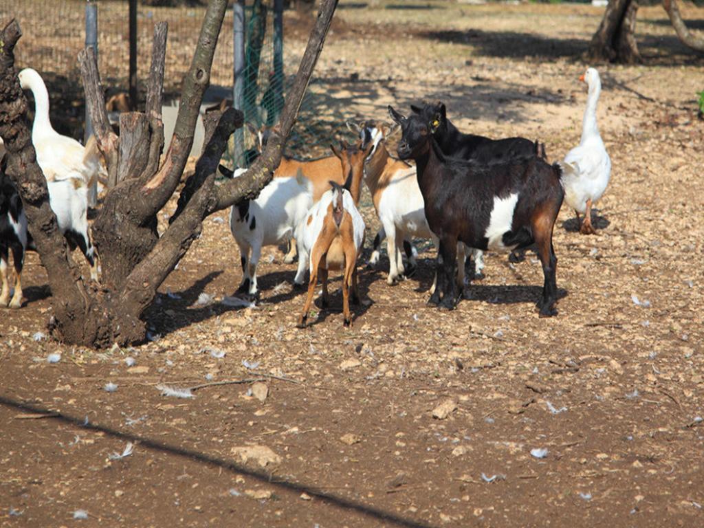 Tenuta Lama Gorga Трані Екстер'єр фото